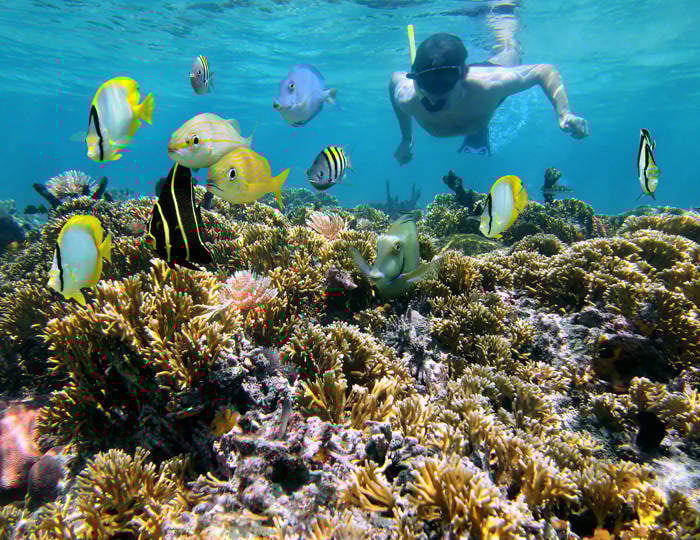 Necker island schnorcheln
