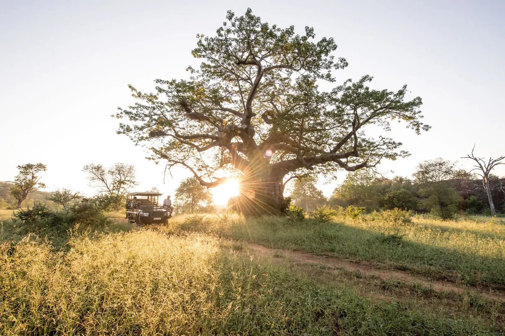 Singita Malilangwe Naturwanderungen