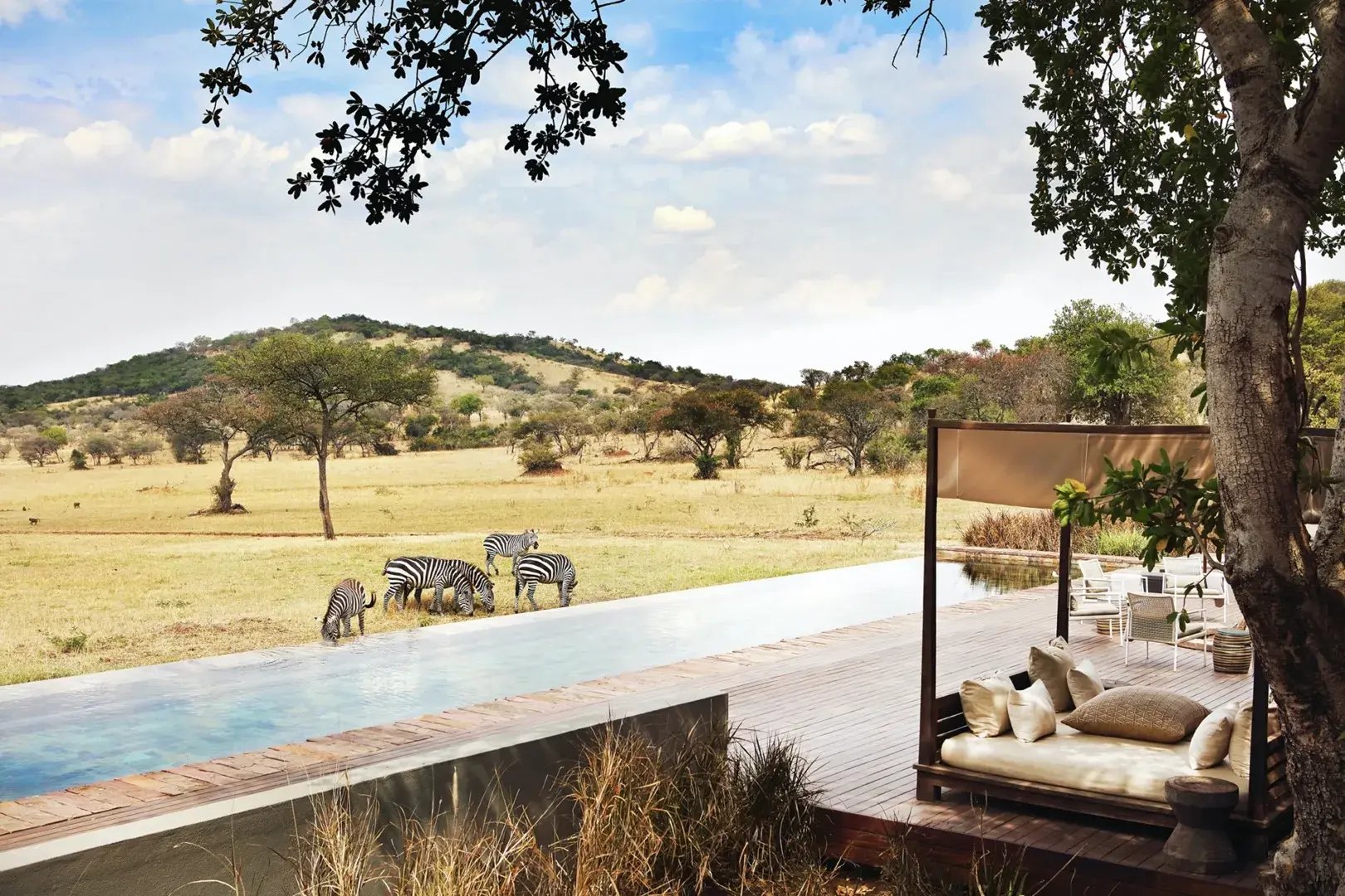 Singita Serengeti Veranda mit Aussicht 