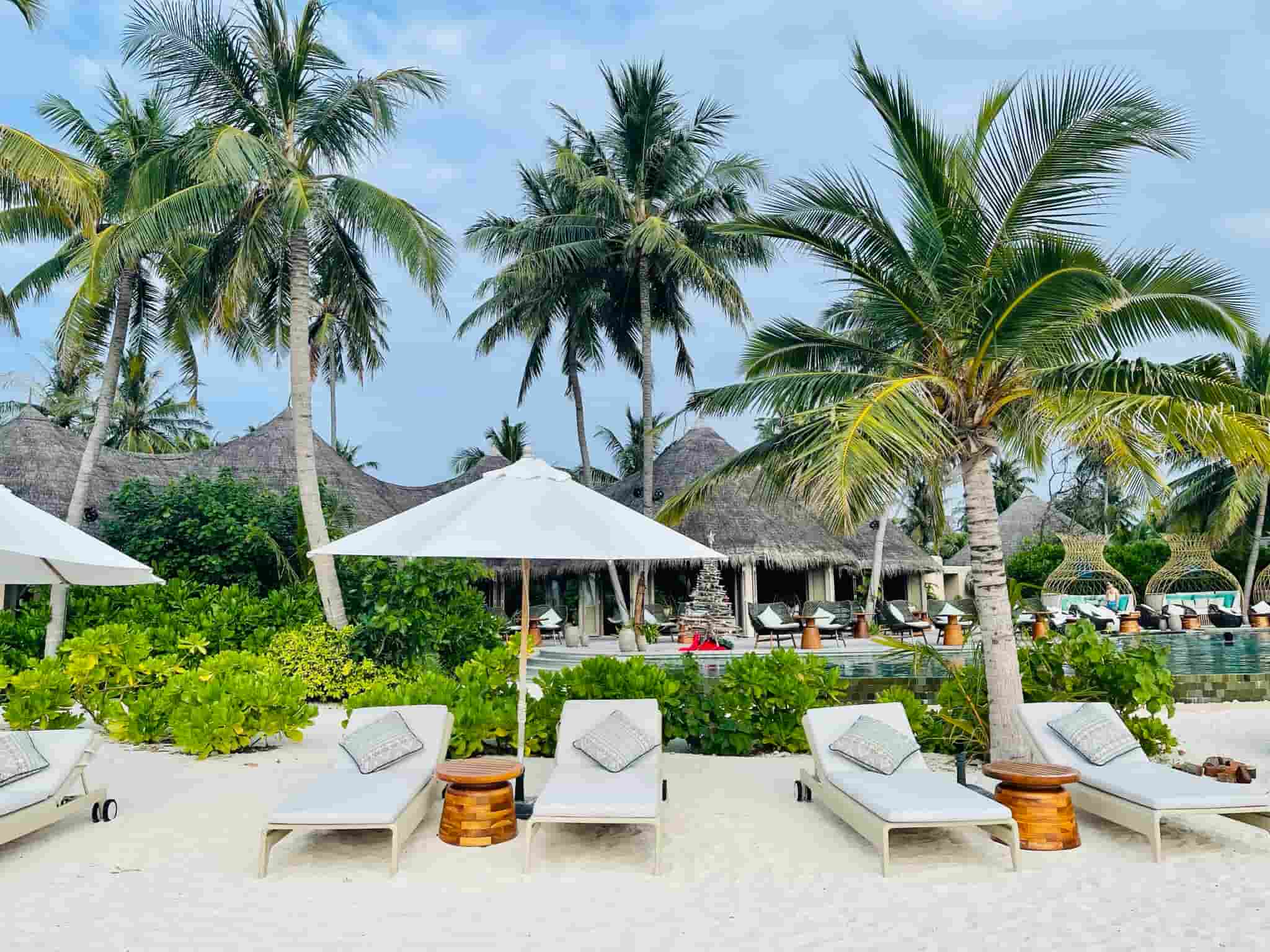 strandtraum-liegen-zwischen-palmen
