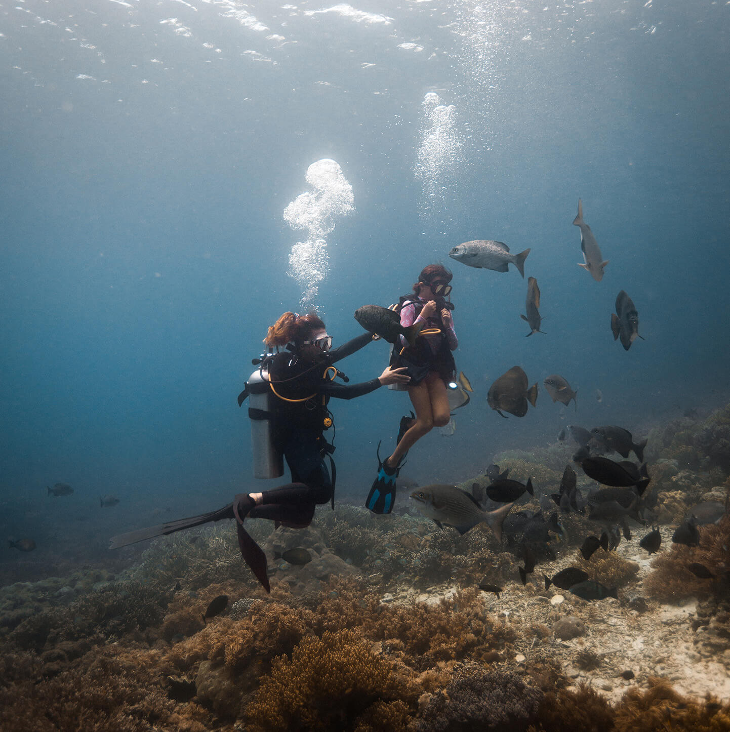 dewata-yacht-pacifichighcruises-familienluxusreisen-thefamilyproject-scubadiving