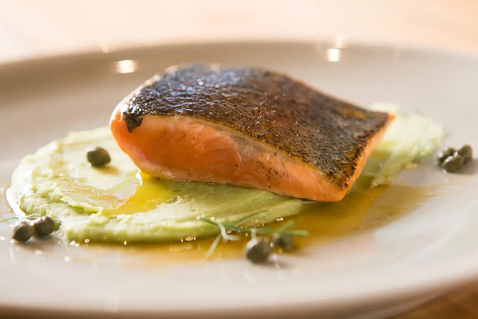 Aqua Nera Lachs der Gourmetküche