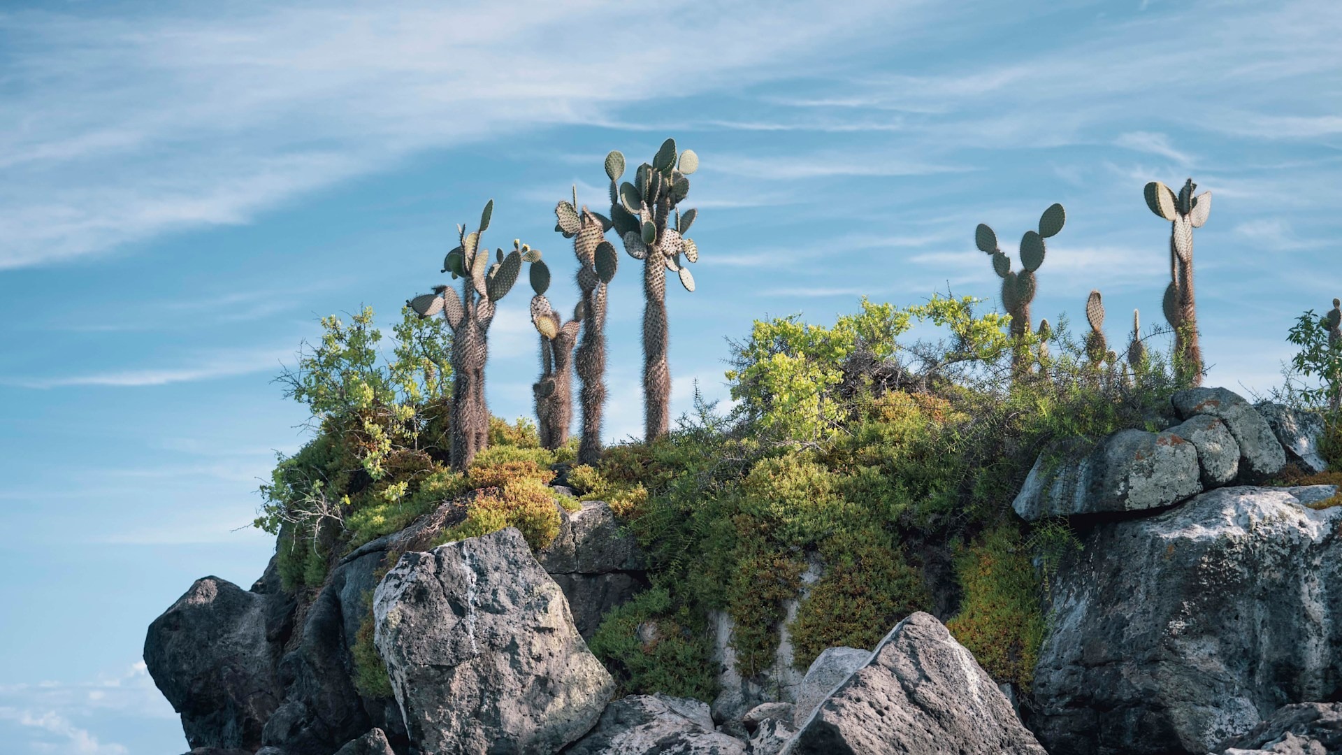 andbeyond-galapagos-explorer-ecuador-familienluxusreisen-thefamilyproject-dylan-royal