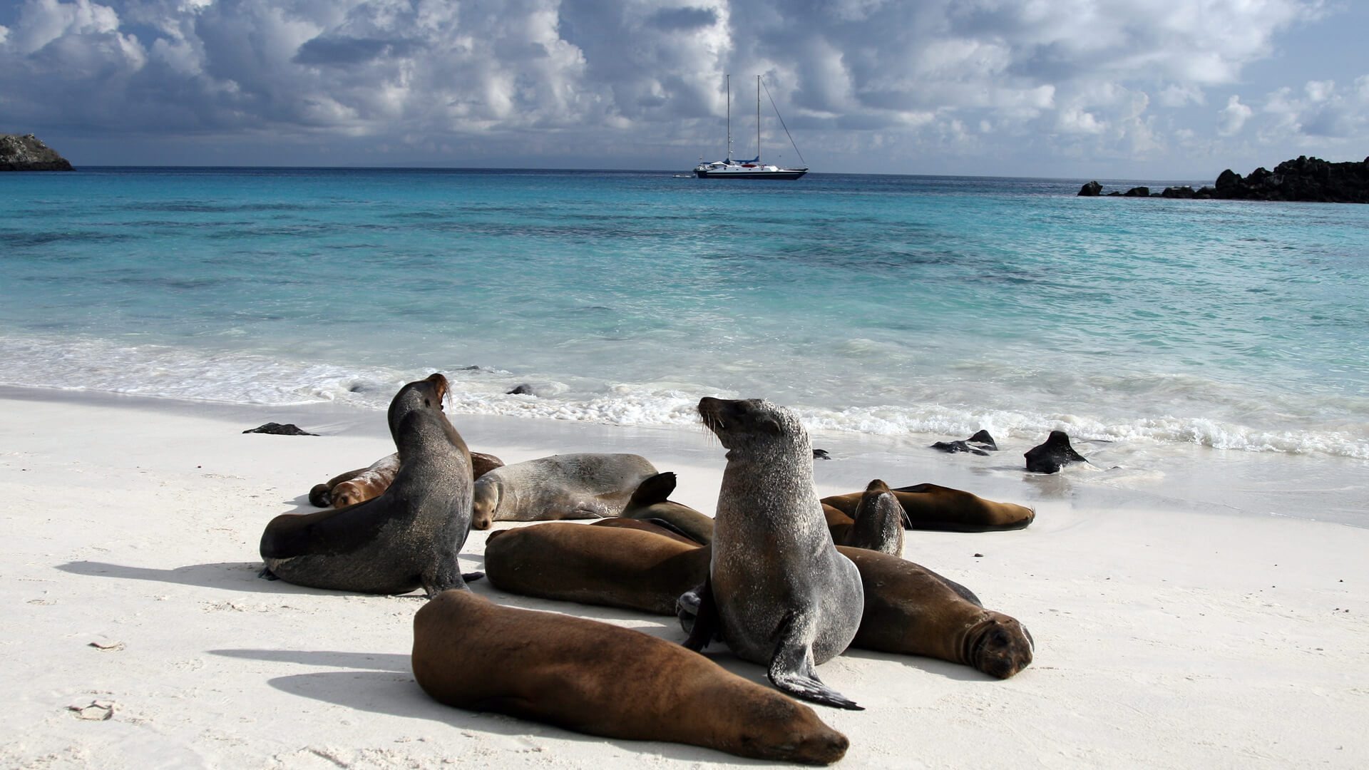 andbeyond-galapagos-explorer-ecuador-familienluxusreisen-thefamilyproject-seeloewen