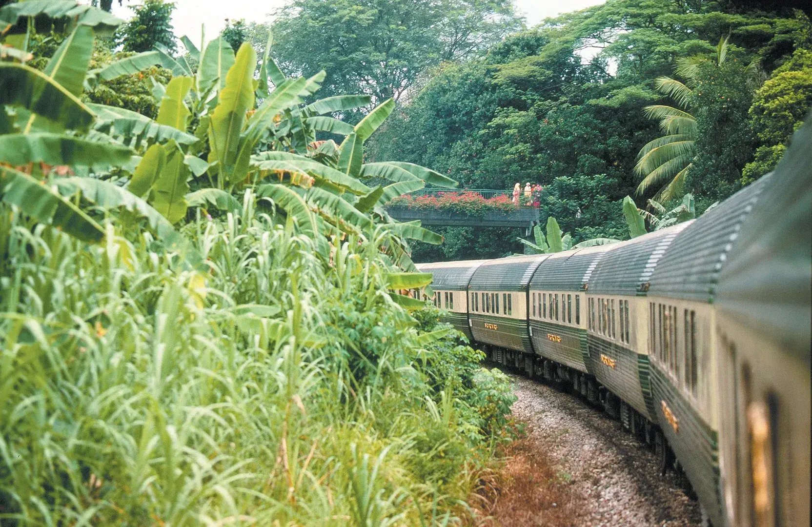 Eastern and Oriental Express Zug in den Tropen 