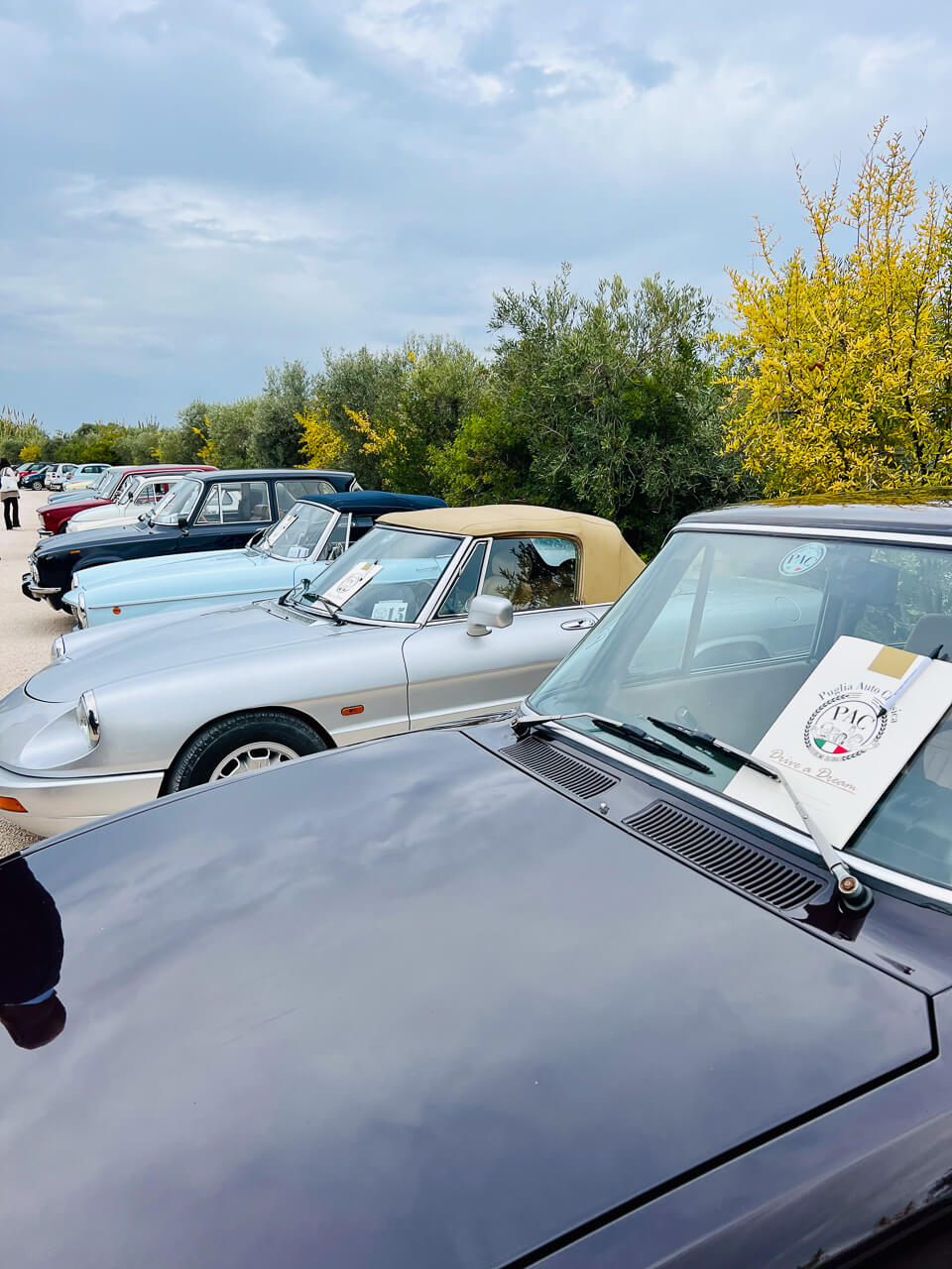 Viele Oldtimer reihen sich aneinander, bereit für eine Tour durch Apulien.
