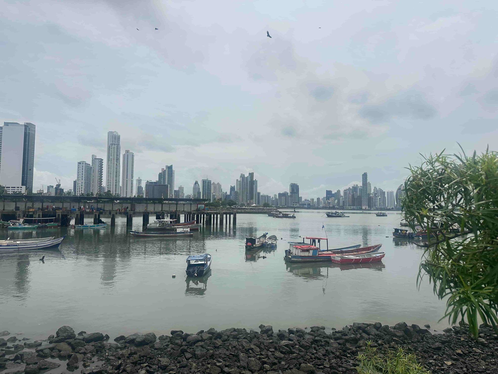 katrin-costa-rica-panama-reisebericht-panamacity-