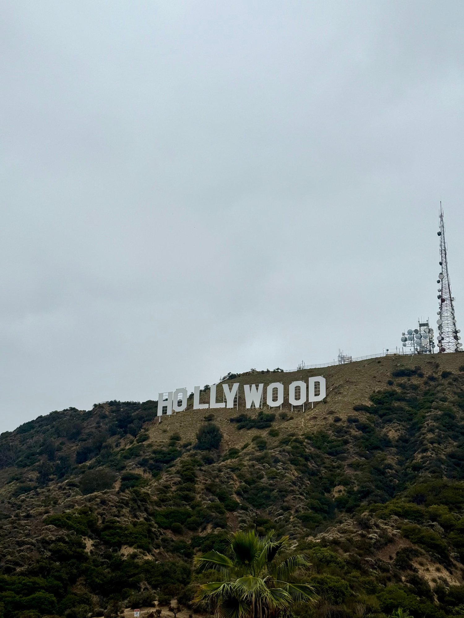 lorenas-honeymoon-la-hollywood