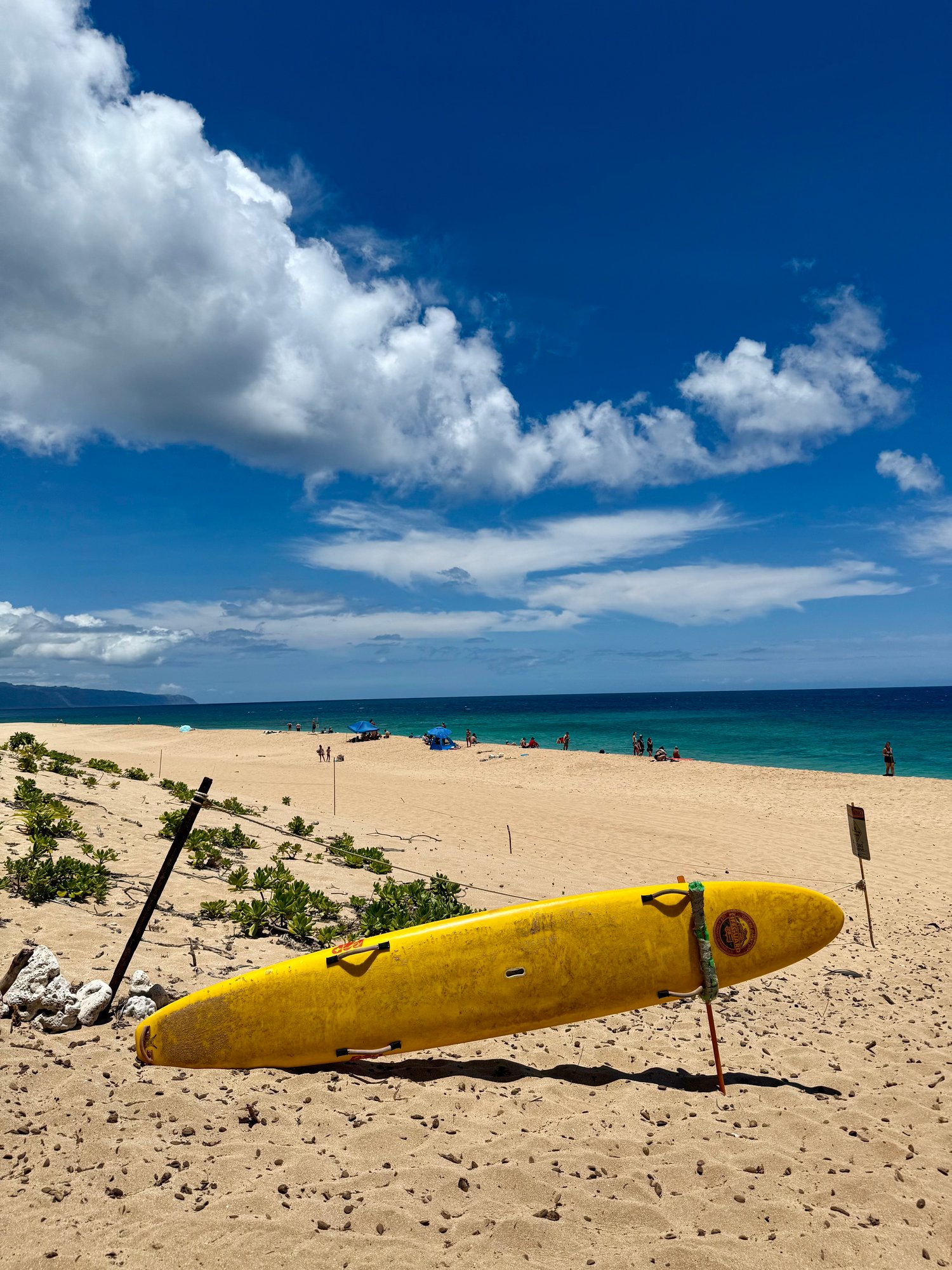 lorenas-honeymoon-oahu-surfen