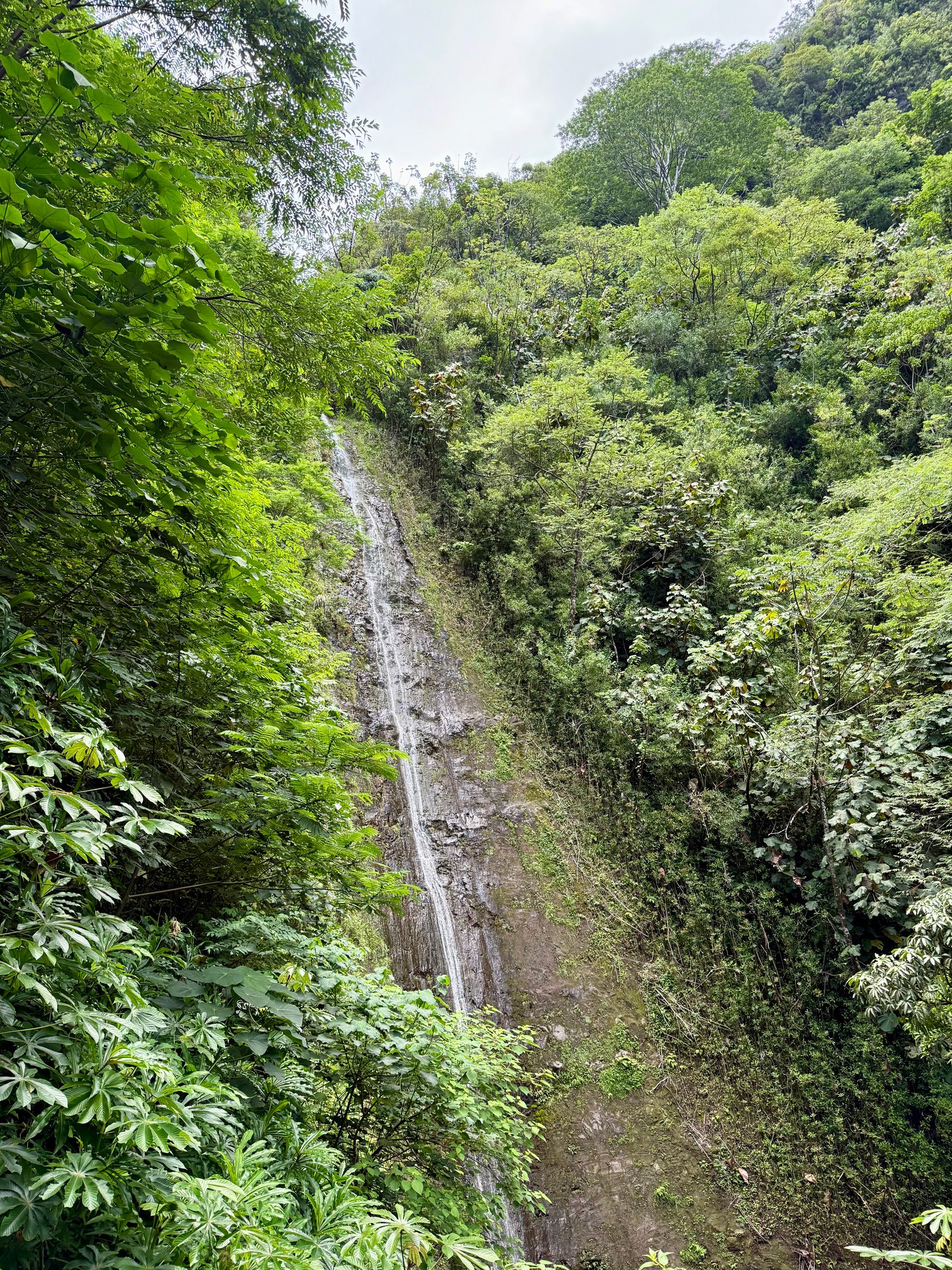 lorenas-honeymoon-oahu-wasserfall