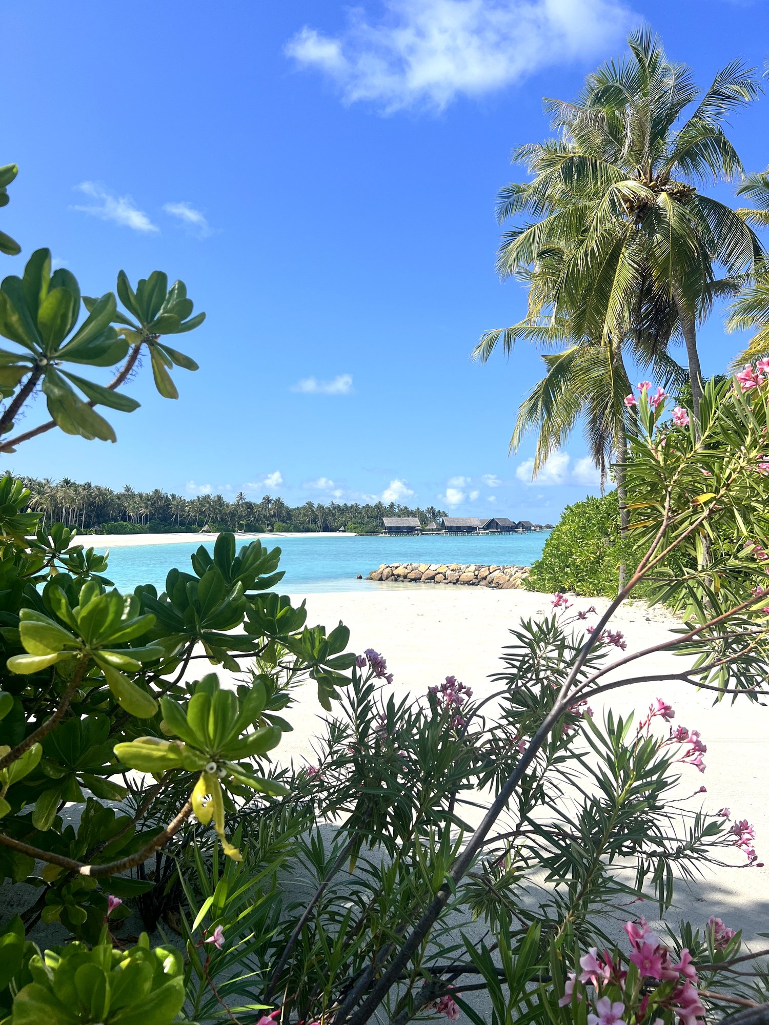 sandra-reisebericht-malediven-thefamilyproject-familienluxusreisen-one-and-only-reethi-rah-04
