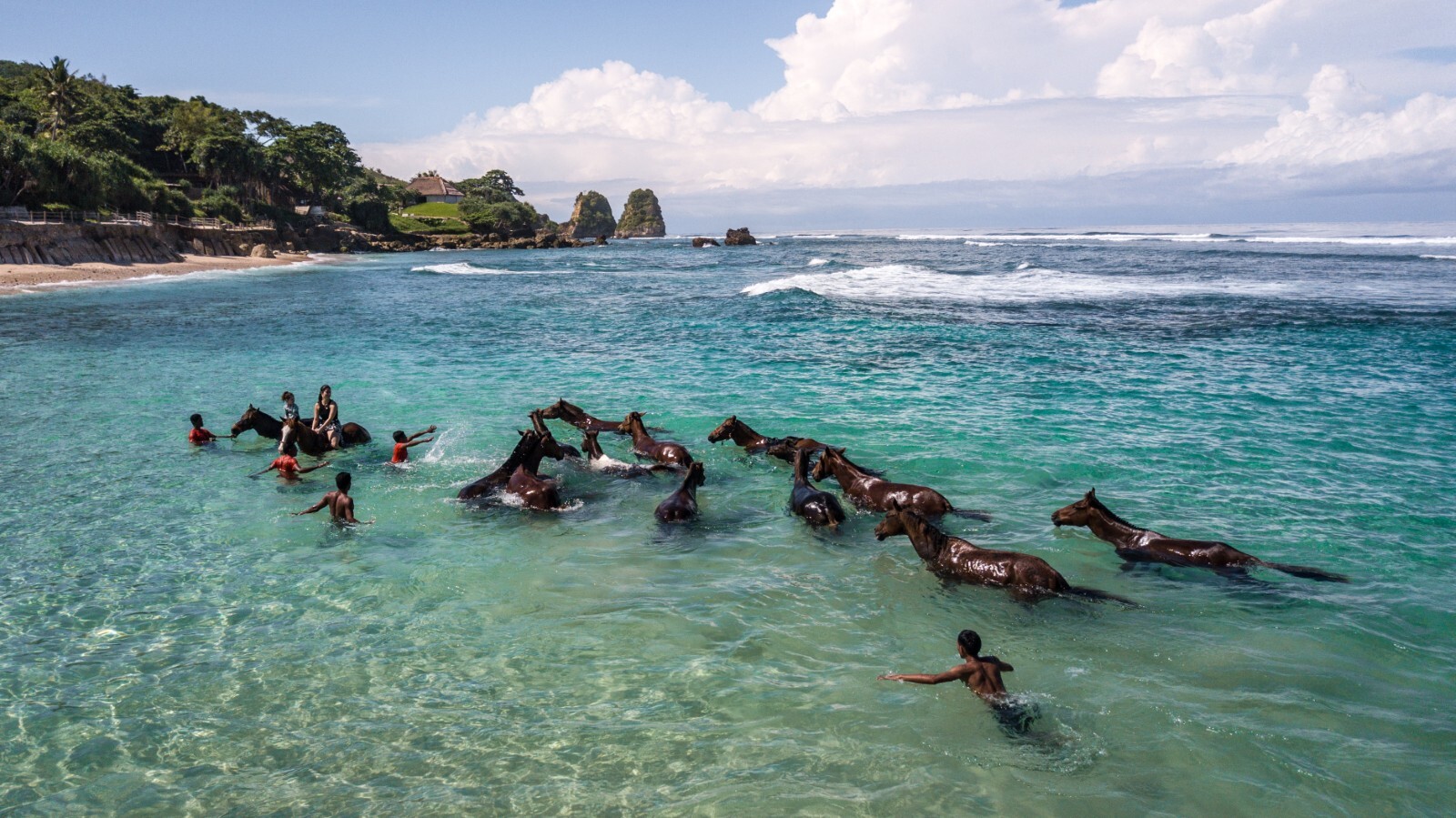 NIHIsumba_swimmingHorses_byTaniaAraujo_0276 (Web)