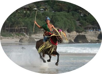 nihi-sumba-pesola-fest