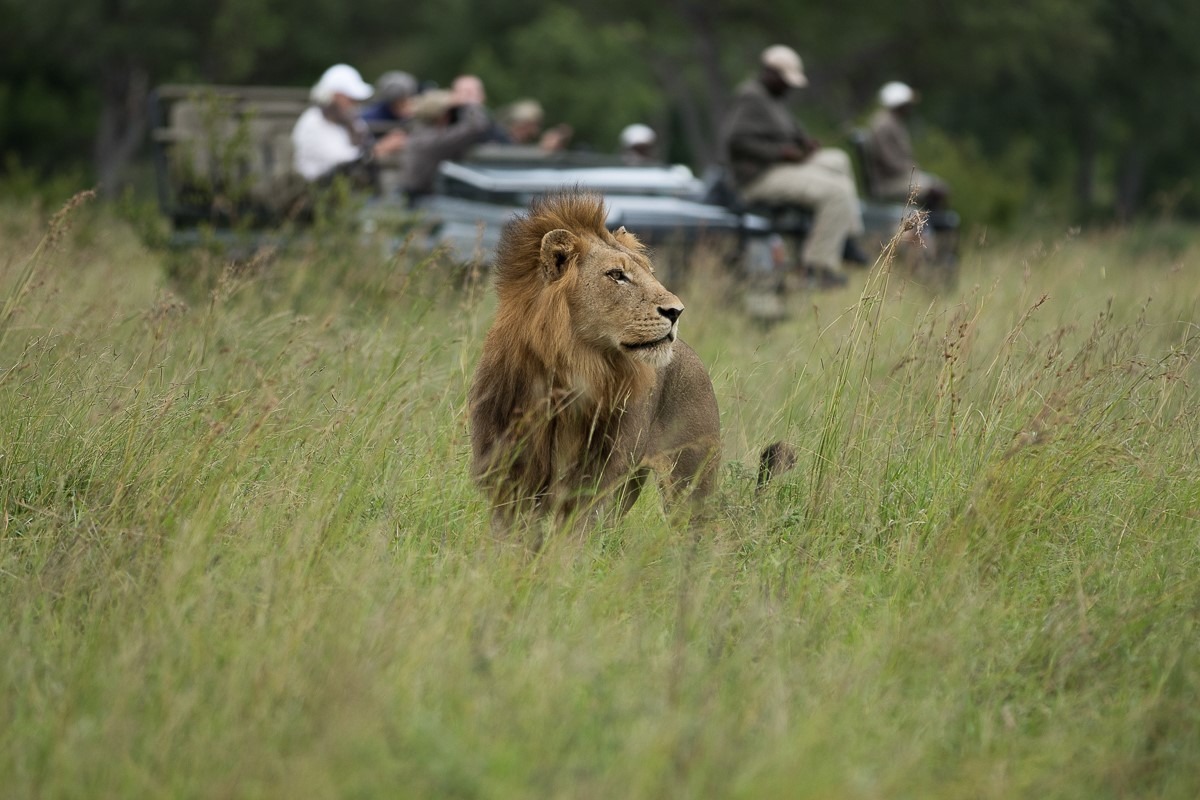 sandringham-suedafrika-familienluxusreisen-thefamilyproject-safari