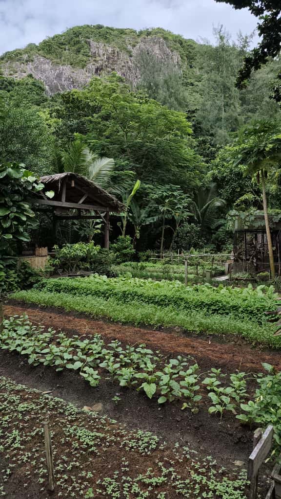 nikola-vietnam-reisebericht-familienluxusreisen-thefamilyproject-six-senses-condao-garten