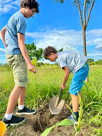 Junge pflanzt einen Baum