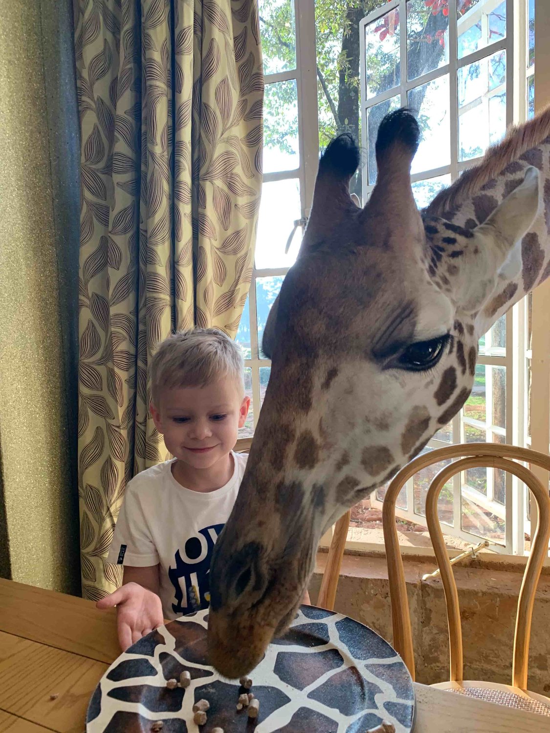 Frühstücken mit einer Giraffe