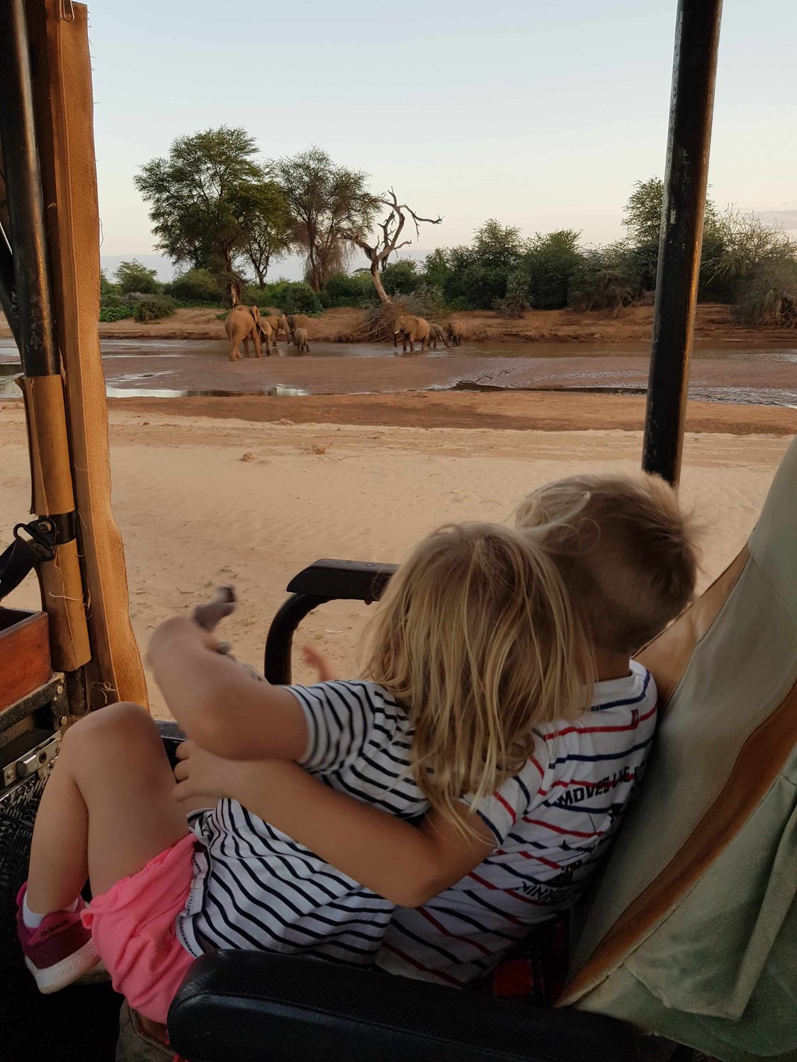 Safari in der Wüste mit den Kids