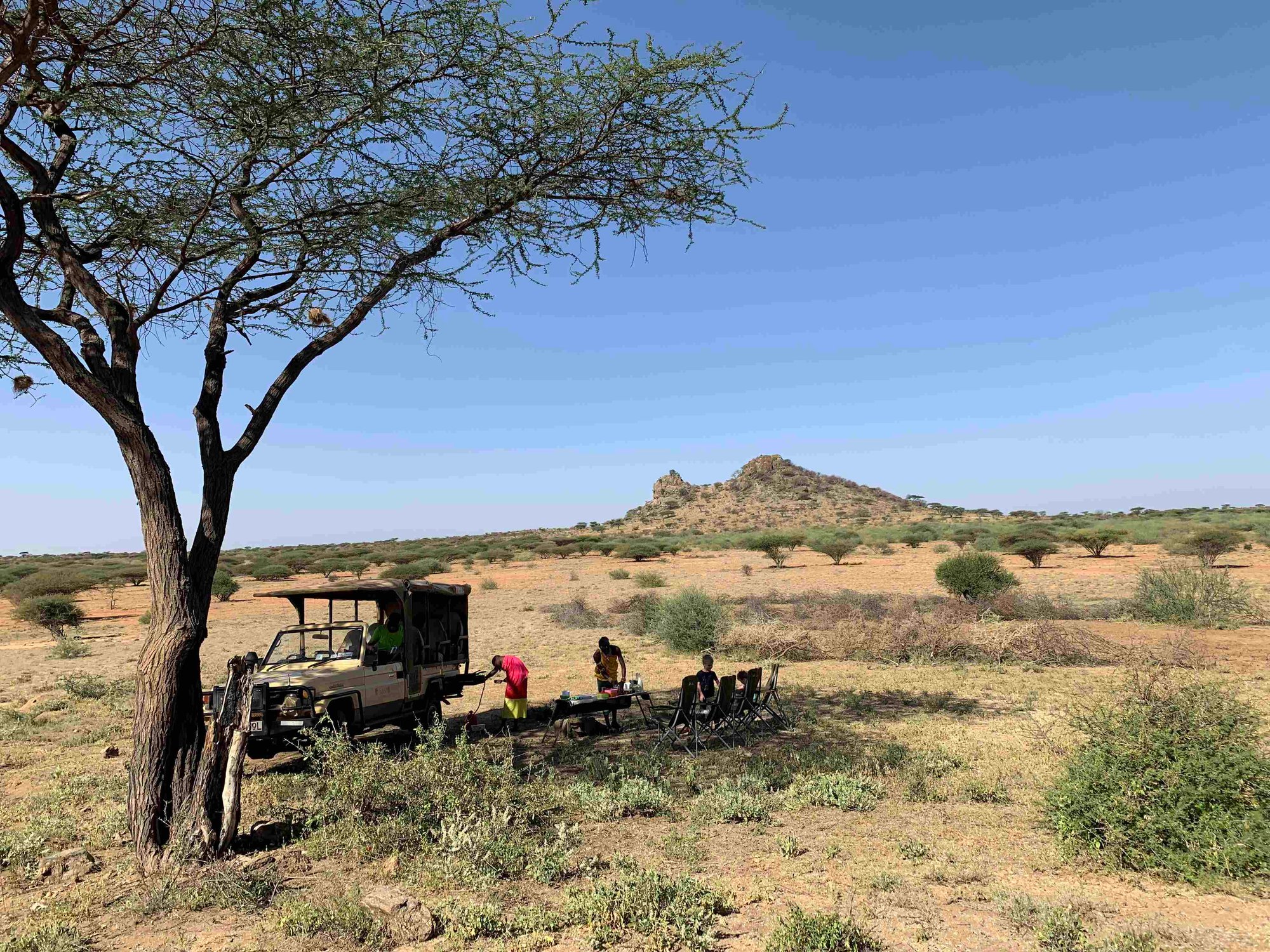 Safari in der Wüste 