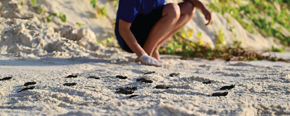Sand auf den Seychellen