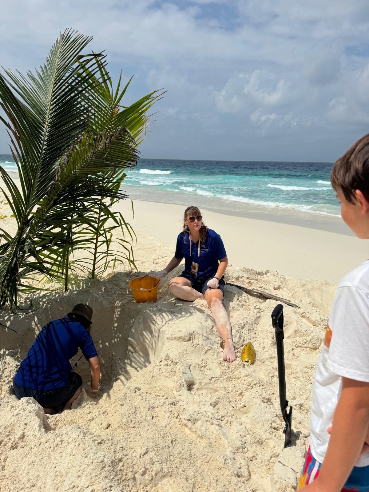 schildkroeten-schutz-seychellen