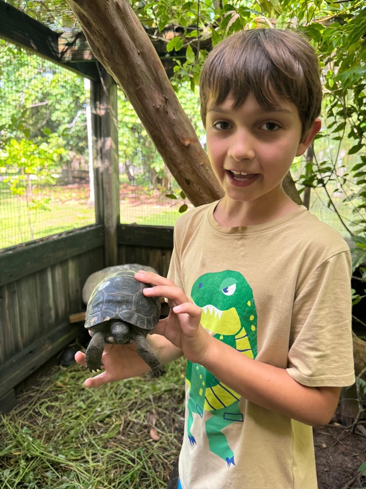 schildkroeten-seychellen