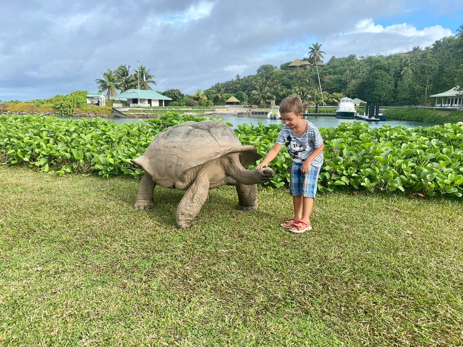 seychellen-schildkroeten-projekt