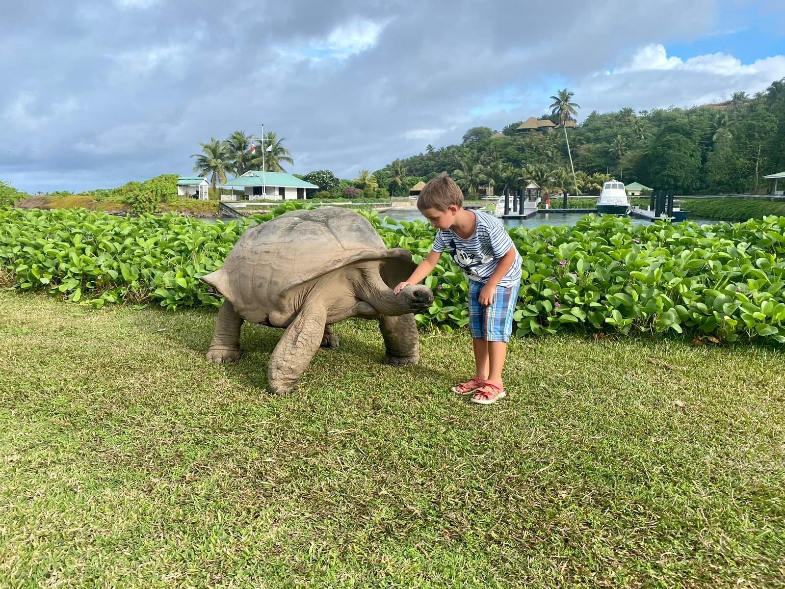 seychellen-schildkroeten-schutz