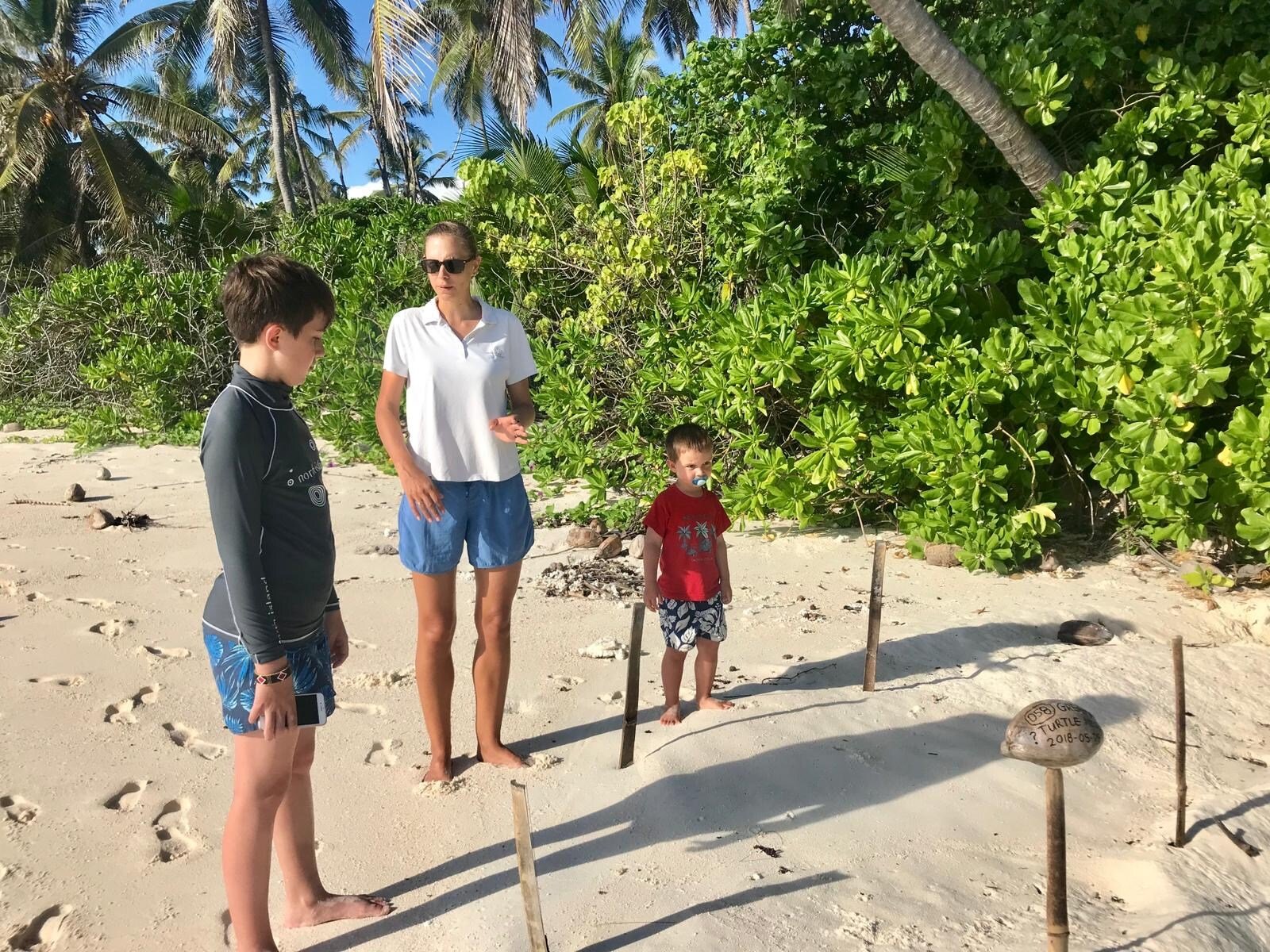 seychellen-schildkroeten-strand
