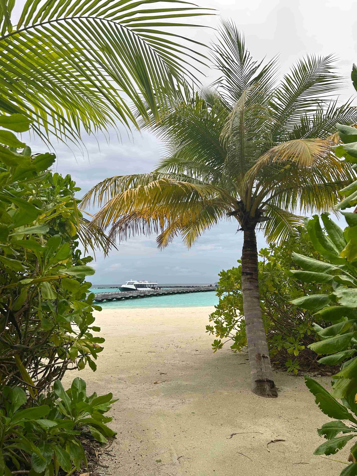 Strand mit Aussicht auf Jetty und Palmen