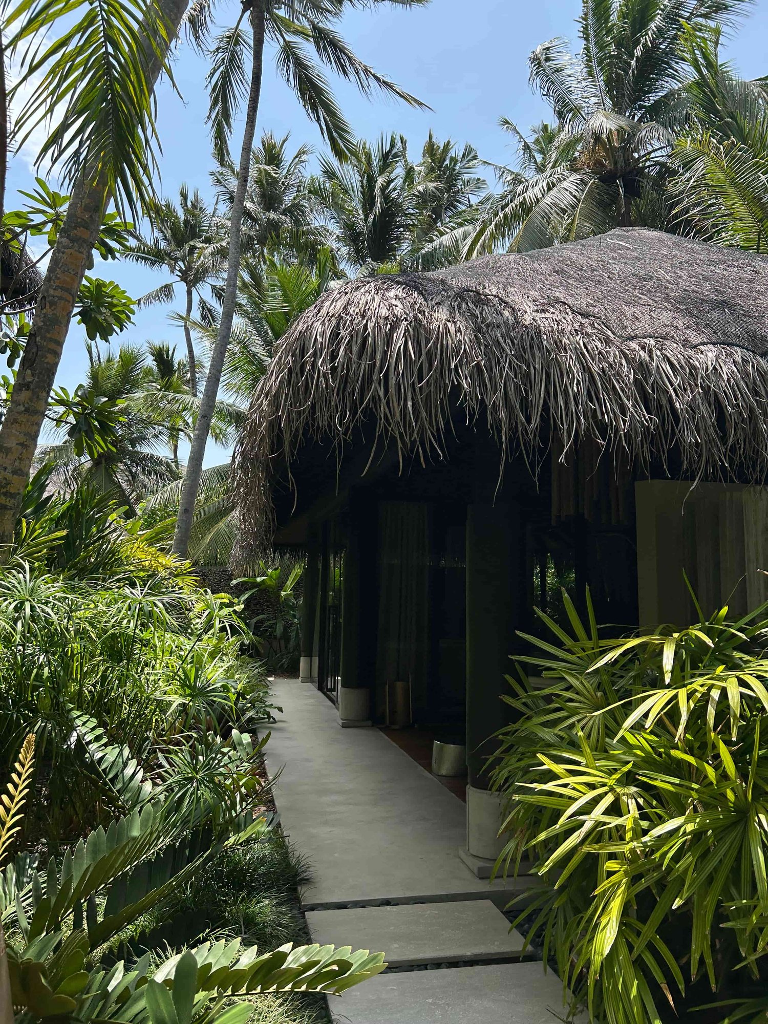 Hütte zwischen Palmen auf der Insel