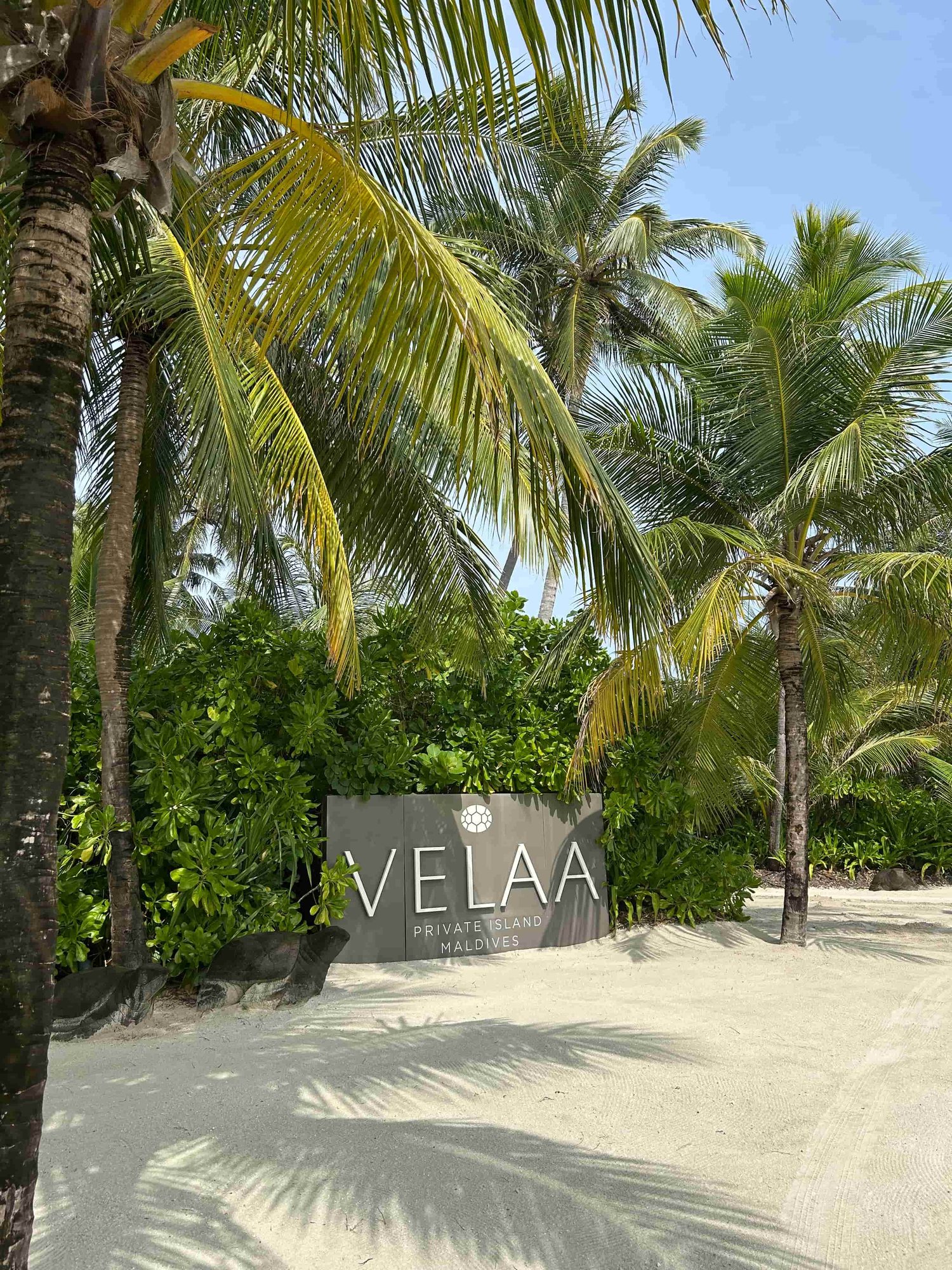 Velaa-Schild am Strand zwischen Palmen