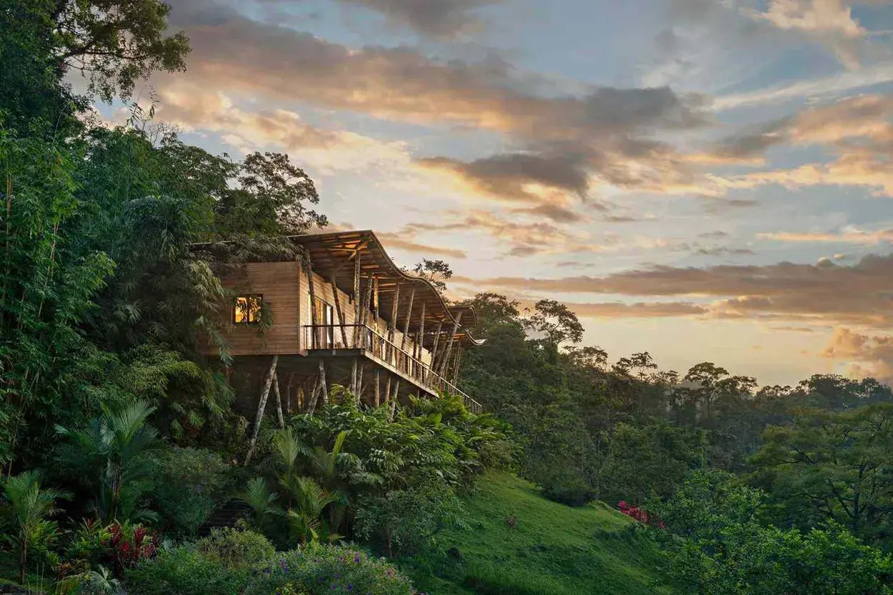 Eine sehr luxuriöse Villa aus Holz auf Stelzen gebaut, steht mitten im Dschungel von Lateinamerika.