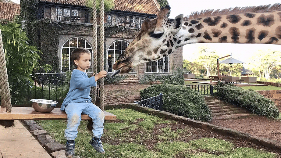 Kind im Nairobi-Urlaub auf einer Schaukel spielt mit Giraffe