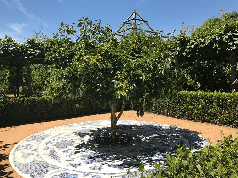 babylonstoren franschhoek sudafrika afrika exklusiv the family project luxus familie baum