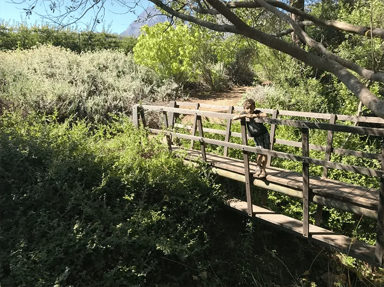 babylonstoren franschhoek sudafrika afrika exklusiv the family project luxus familie kind brucke