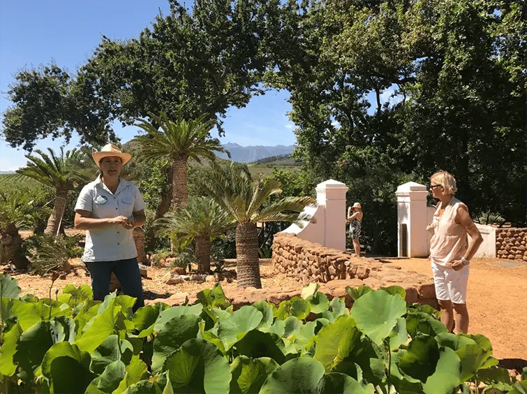 babylonstoren franschhoek sudafrika afrika exklusiv the family project luxus familie tour