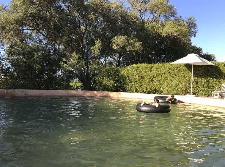 babylonstoren franschhoek sudafrika afrika the family project luxus privatbilder badeteich pool kinder