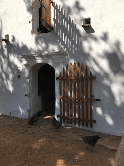 babylonstoren franschhoek sudafrika afrika the family project luxus privatbilder familie ehuhner