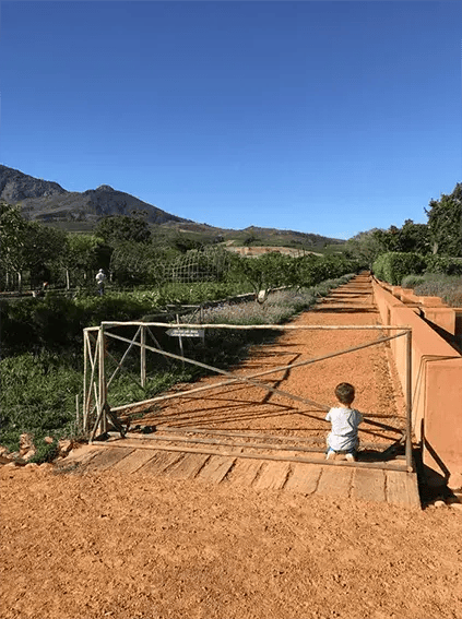 babylonstoren franschhoek sudafrika afrika the family project luxus privatbilder gemusegarten