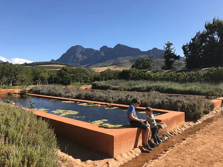 babylonstoren franschhoek sudafrika afrika the family project luxus privatbilder kinder teich