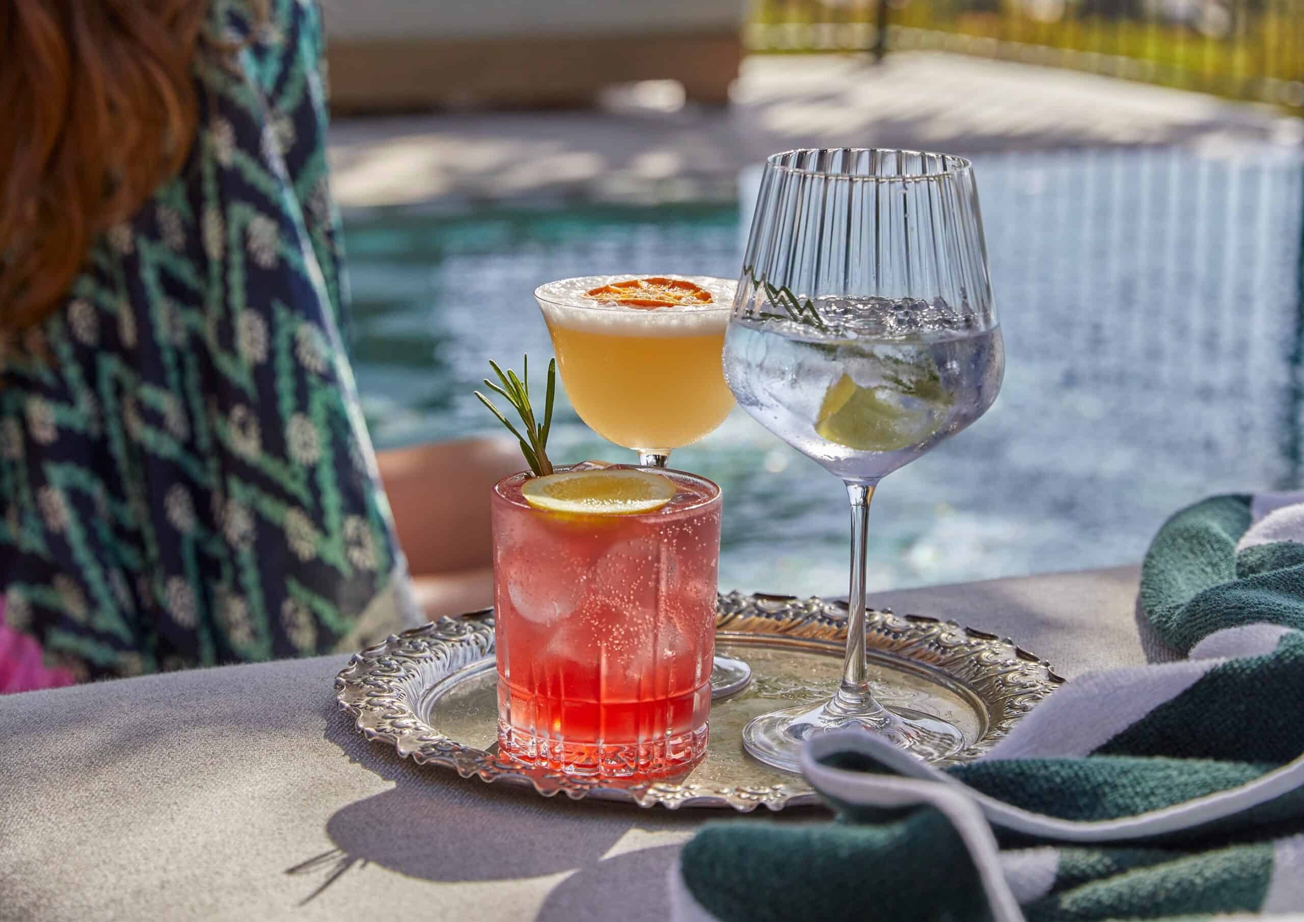 franschhoek-house-suedafrika-winelands-familienluxusreisen-thefamilyproject-cocktails