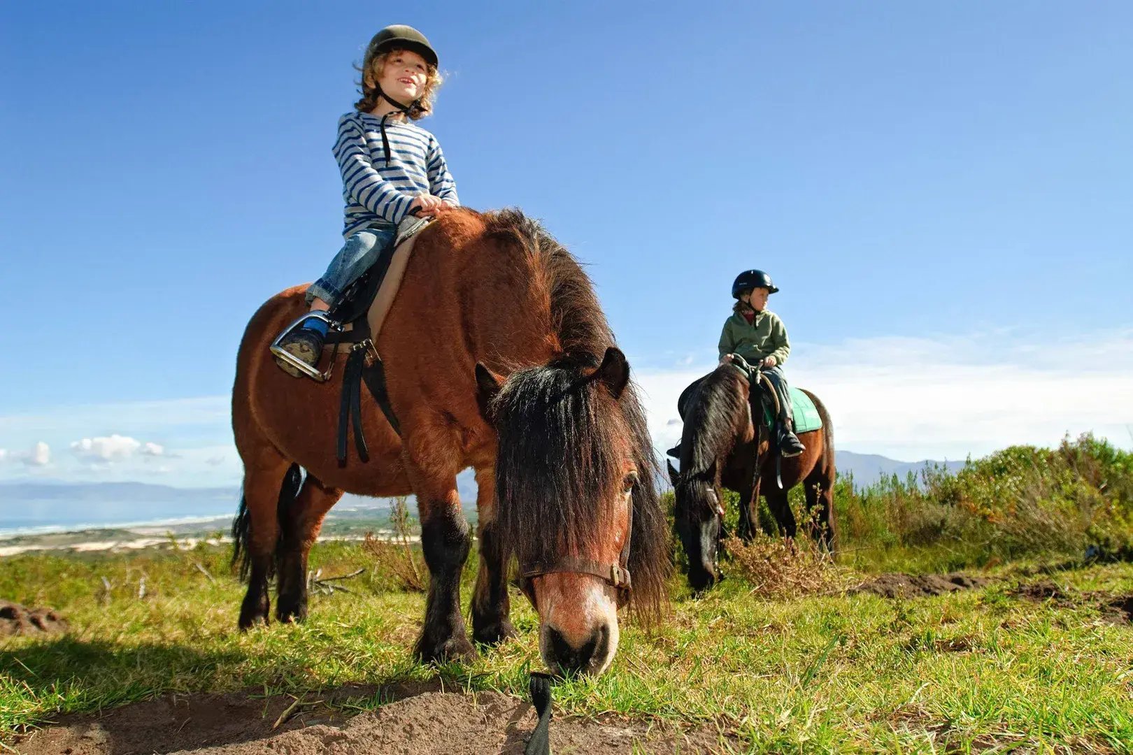 grootbos private nature reserve afrika reiten