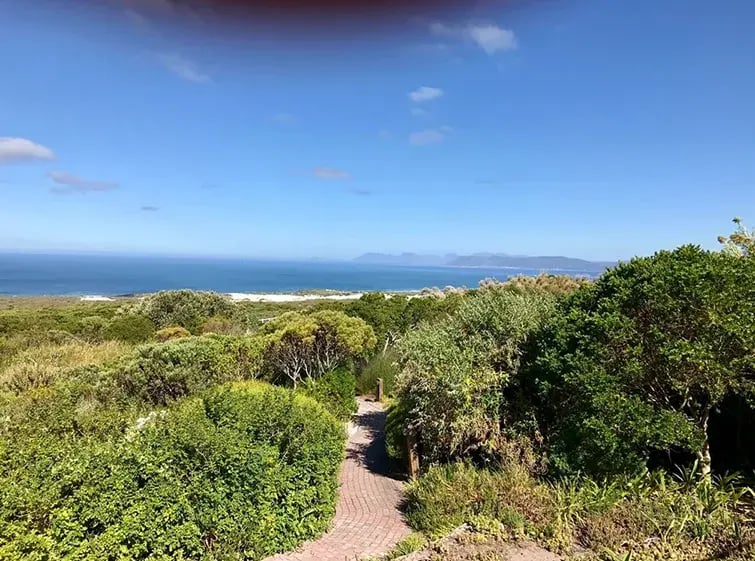 grootbos private nature reserve afrika exklusiv the family project ausblick