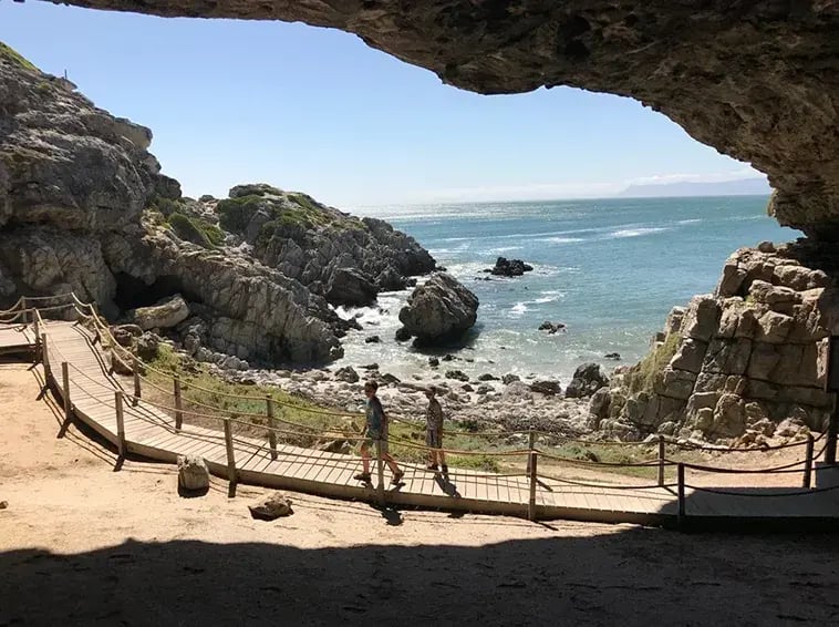 grootbos private nature reserve afrika exklusiv the family project kinder ausblick weg