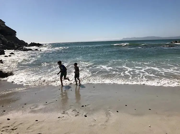 grootbos private nature reserve afrika exklusiv the family project kinder meer