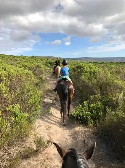 grootbos private nature reserve afrika exklusiv the family project kinder reiten pferde