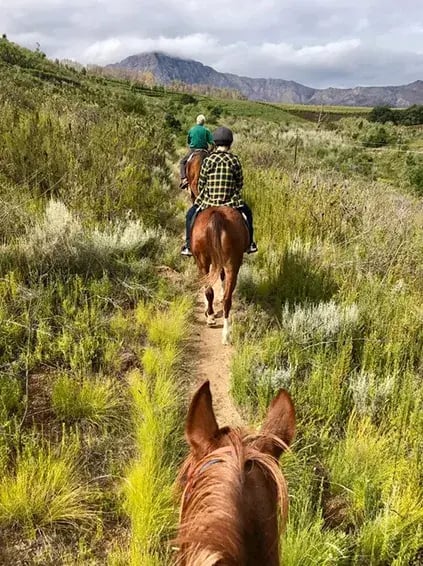 la cle des montagnes franschhoek sudafrika afrika the family project luxus privatbilder pferde reiten