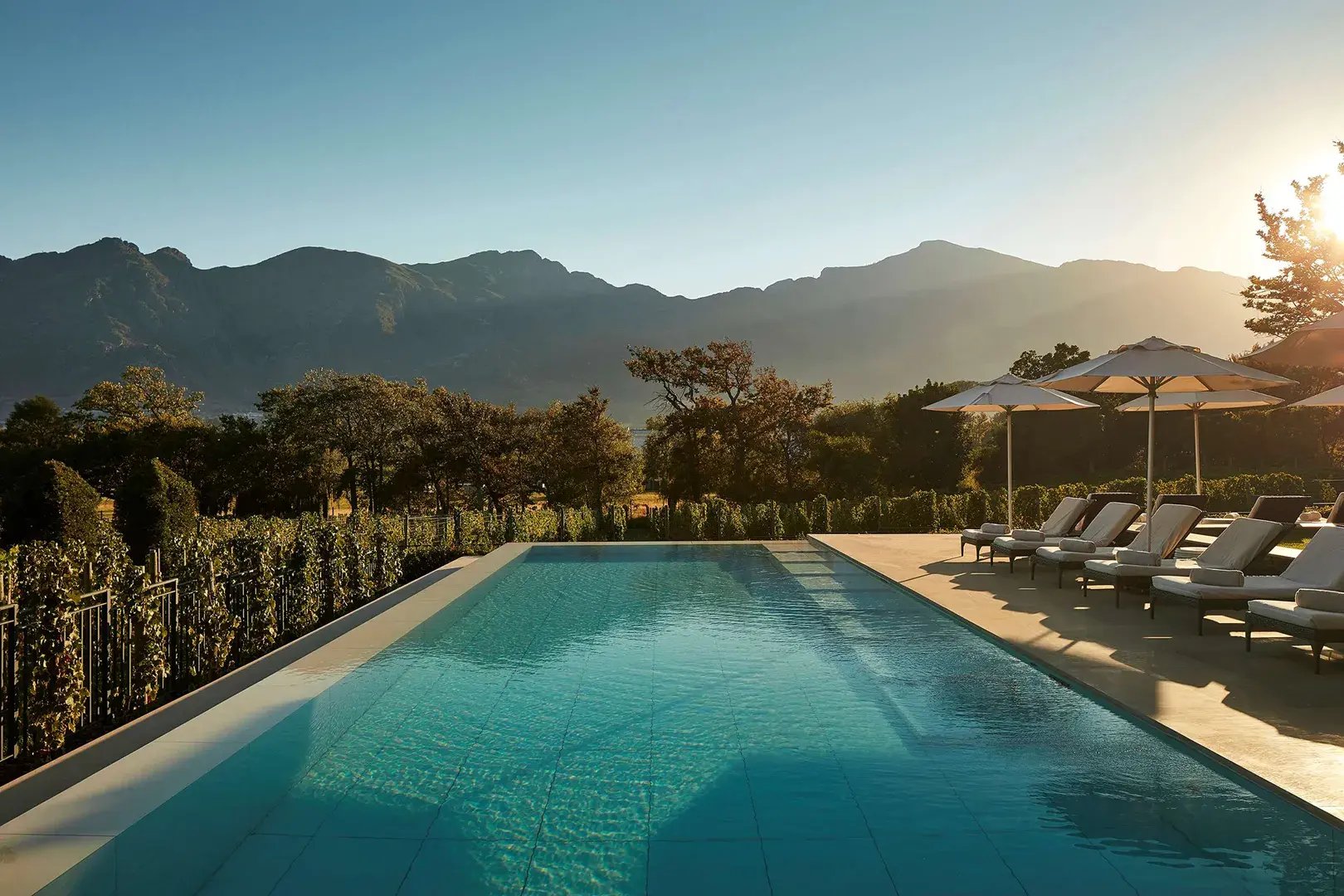 Weiberg Pool Leeu Estates, Südafrika: Boutique-Weinberg-Erlebnis