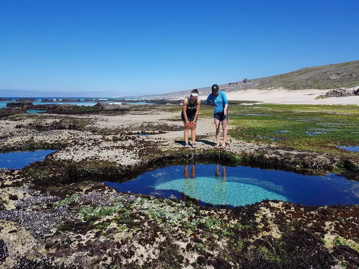 lekkerwater beach lodge nature
